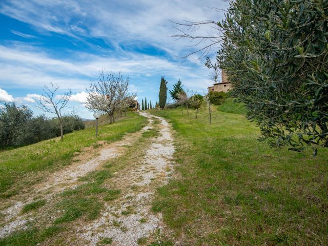 Panorama-Affaccio