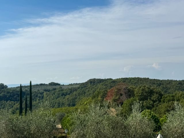 Panorama-Affaccio