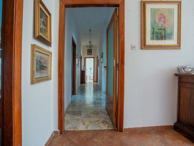 Disimpegno