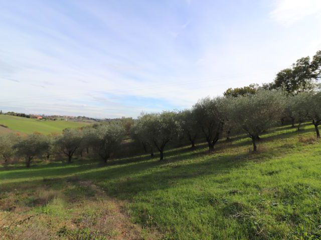 Panorama / Affaccio